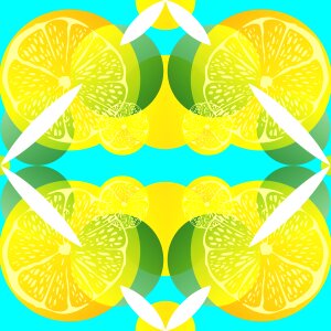 Citrus pattern Free illustrations. Free illustration for personal and commercial use.