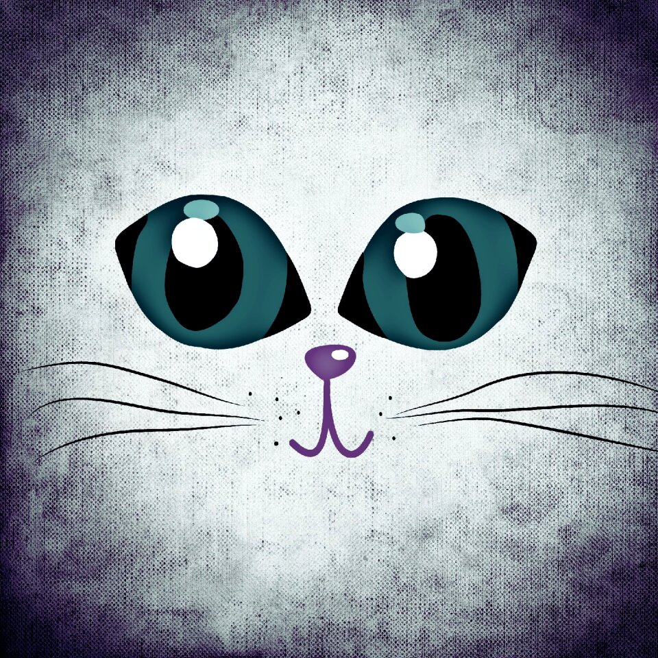 Cat animal cute. Free illustration for personal and commercial use.