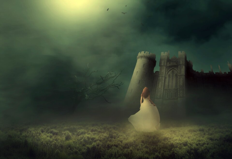Princess meadow bride. Free illustration for personal and commercial use.