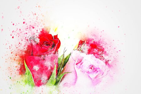 Art nature watercolor. Free illustration for personal and commercial use.