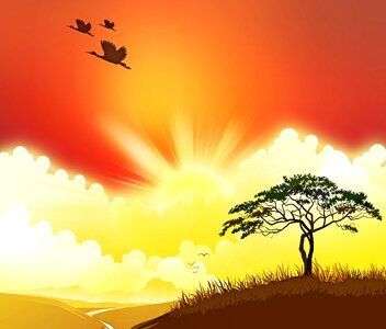 Africa tree silhouette. Free illustration for personal and commercial use.