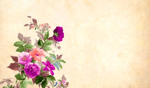 Vintage roses bouquet. Free illustration for personal and commercial use.