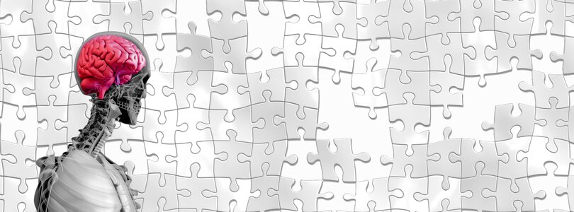 Puzzle pieces of the puzzle share. Free illustration for personal and commercial use.