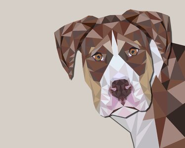 Canine pet design. Free illustration for personal and commercial use.