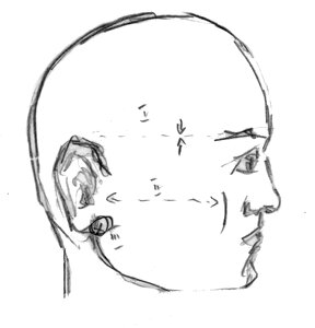 Human face bald head. Free illustration for personal and commercial use.