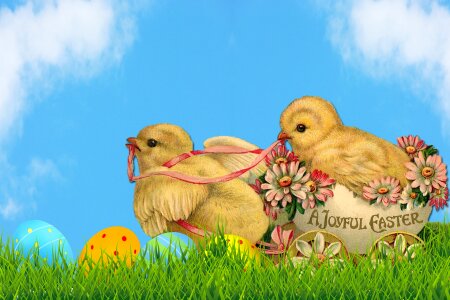 Chicks vintage eggs. Free illustration for personal and commercial use.