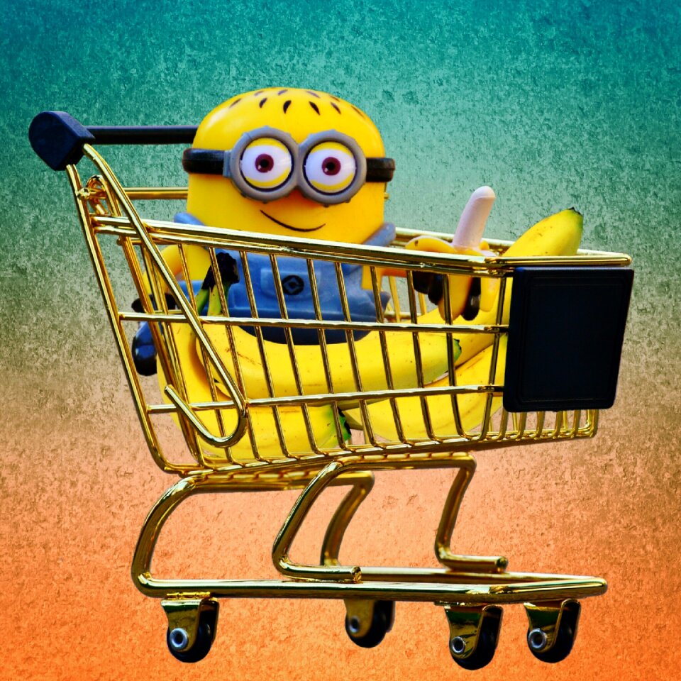 Healthy shopping cute. Free illustration for personal and commercial use.