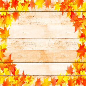 Scrapbooking seasonal orange. Free illustration for personal and commercial use.