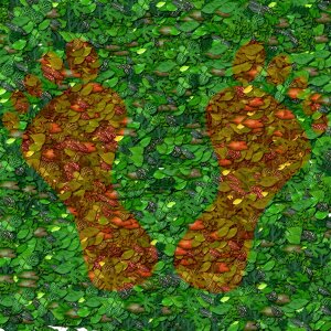 Green natural foot. Free illustration for personal and commercial use.