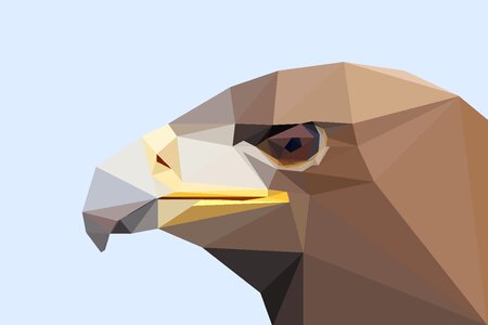 Bird of prey raptor golden eagle. Free illustration for personal and commercial use.