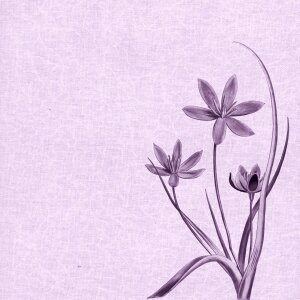 Purple vintage backgrounds design. Free illustration for personal and commercial use.