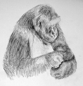 Affection pencil drawing Free illustrations. Free illustration for personal and commercial use.