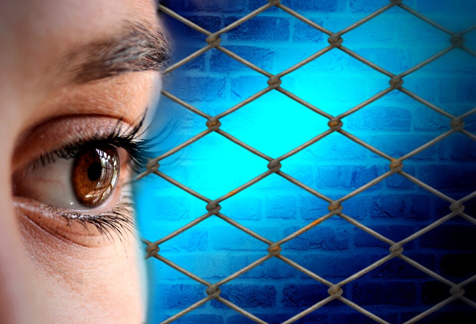 Fence face look. Free illustration for personal and commercial use.