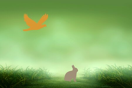 Grass background bird. Free illustration for personal and commercial use.