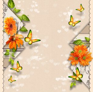 Beige butterfly flowers. Free illustration for personal and commercial use.