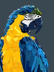 Beak tropical exotic. Free illustration for personal and commercial use.