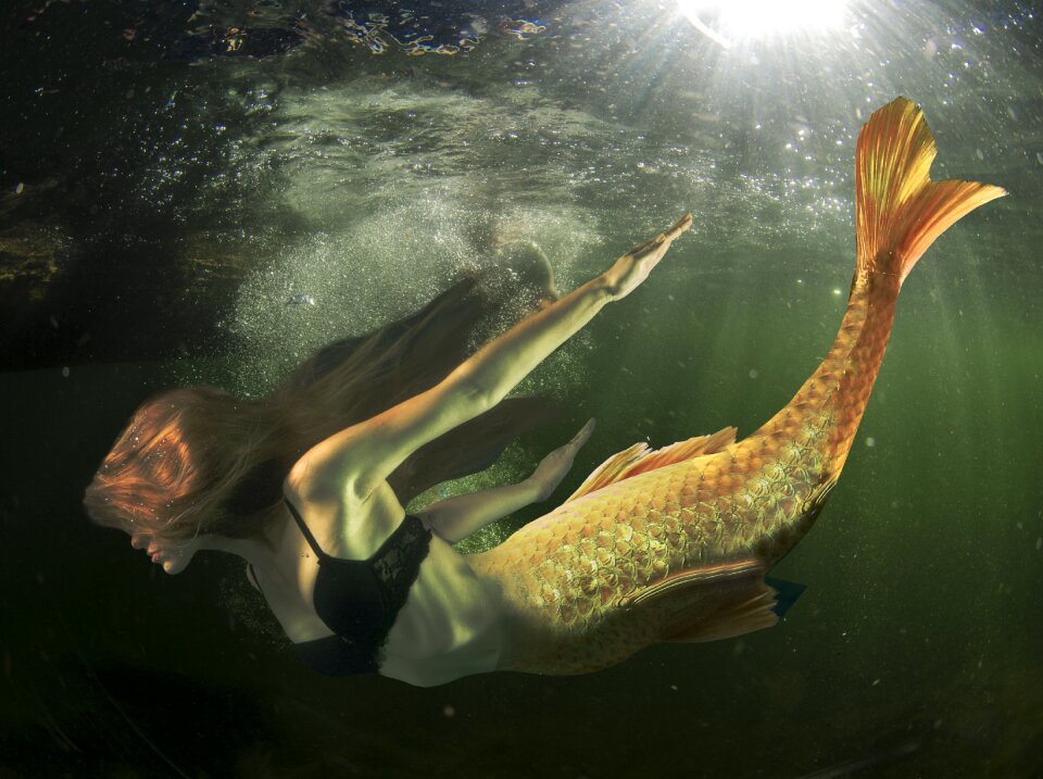 Underwater sea woman. Free illustration for personal and commercial use.