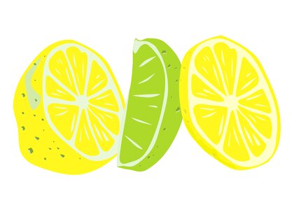 Fruit citrus sour. Free illustration for personal and commercial use.