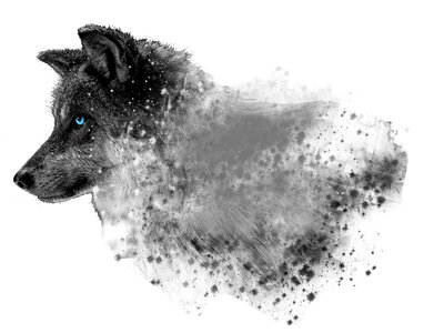 Animal wolf photoshop. Free illustration for personal and commercial use.