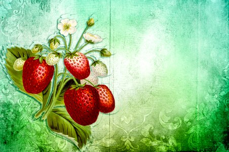 Strawberry season green red. Free illustration for personal and commercial use.