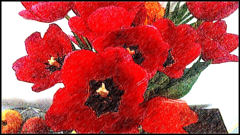 Flower red Free illustrations. Free illustration for personal and commercial use.