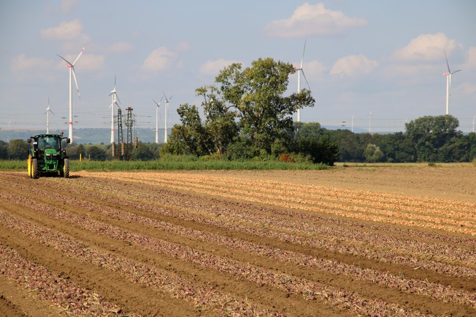 Field onion field onion farmland. Free illustration for personal and commercial use.