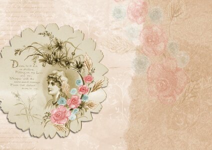 Antique daisy flower. Free illustration for personal and commercial use.