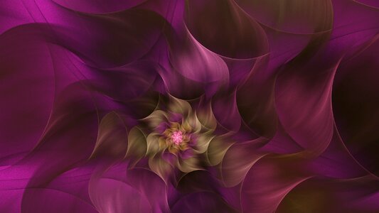 Flower bloom abstract. Free illustration for personal and commercial use.