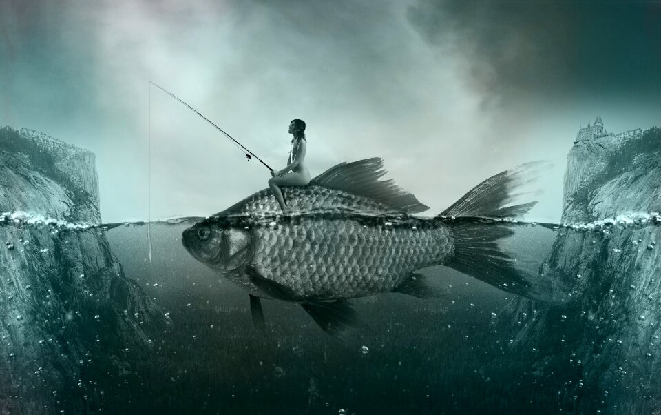 Fisherman freshwater fish angler. Free illustration for personal and commercial use.