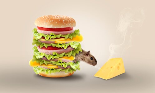 Funny snacks nager. Free illustration for personal and commercial use.