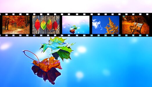 Seasonal movie reel. Free illustration for personal and commercial use.