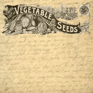 Seeds vegetable advertisement. Free illustration for personal and commercial use.