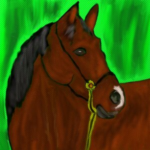 Pferdeportrait pony reins. Free illustration for personal and commercial use.