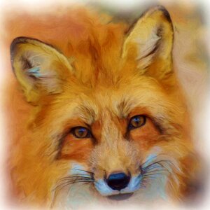 Fuchs red fox art. Free illustration for personal and commercial use.