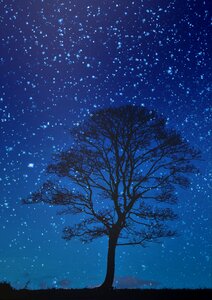 Blue sky stars nocturne. Free illustration for personal and commercial use.