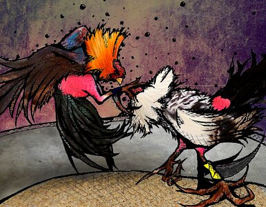 Roosters fight Free illustrations. Free illustration for personal and commercial use.