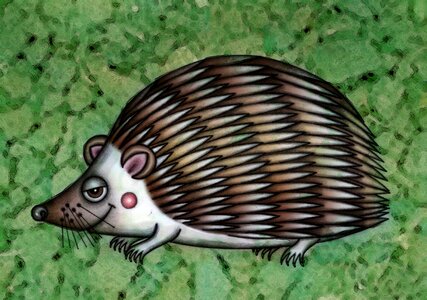 Animal hedgehog Free illustrations. Free illustration for personal and commercial use.
