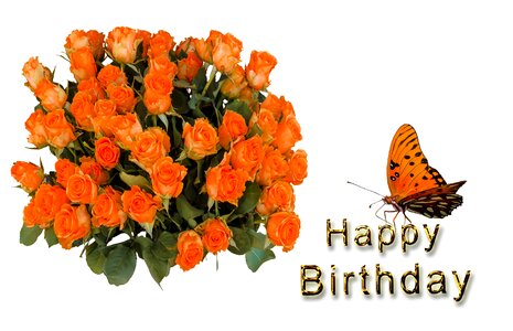 Birthday greeting greeting card. Free illustration for personal and commercial use.