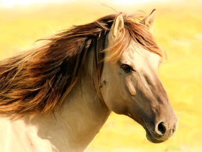 Horse perdeportrait art. Free illustration for personal and commercial use.