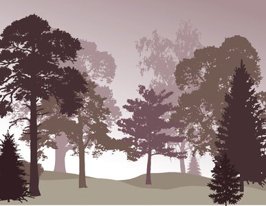 Fog forest landscape. Free illustration for personal and commercial use.