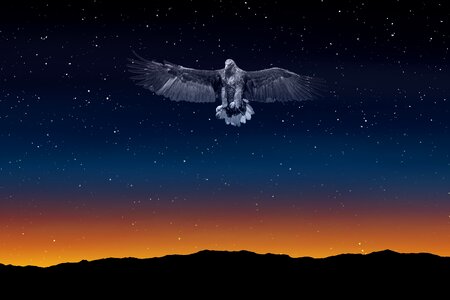 Illuminated night sky. Free illustration for personal and commercial use.