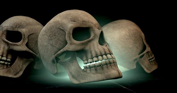 Skeleton 3d-model graphic. Free illustration for personal and commercial use.