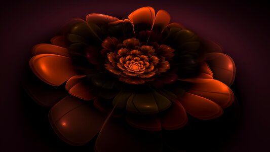 Blossom bloom fractal art. Free illustration for personal and commercial use.