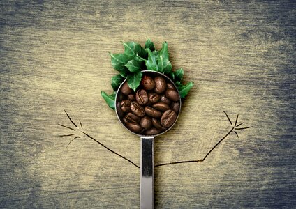 Coffee spoon coffee beans roasting. Free illustration for personal and commercial use.