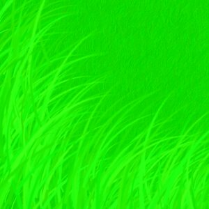 Environmentally sustainable sustainability grass. Free illustration for personal and commercial use.