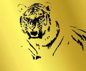 Tiger background Free illustrations. Free illustration for personal and commercial use.