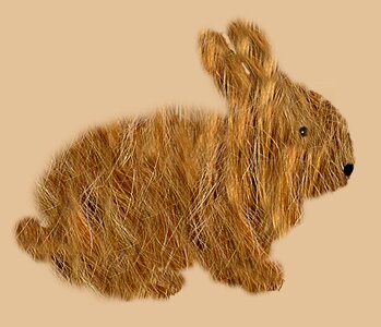 Dwarf rabbit long eared animal. Free illustration for personal and commercial use.