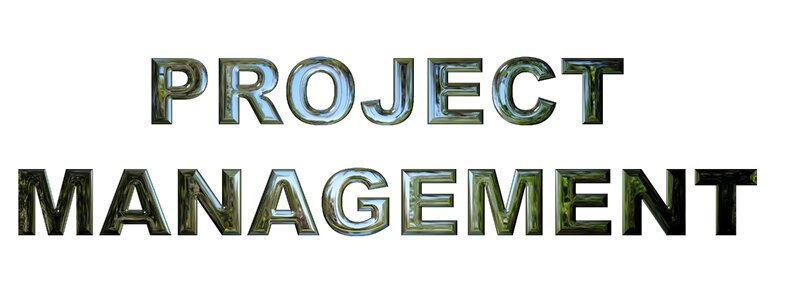 Project management work. Free illustration for personal and commercial use.