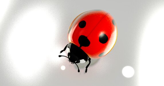 Good luck ladybug beetle. Free illustration for personal and commercial use.