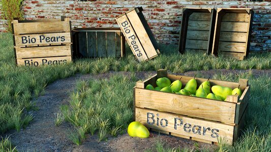 Pears 3d blender. Free illustration for personal and commercial use.